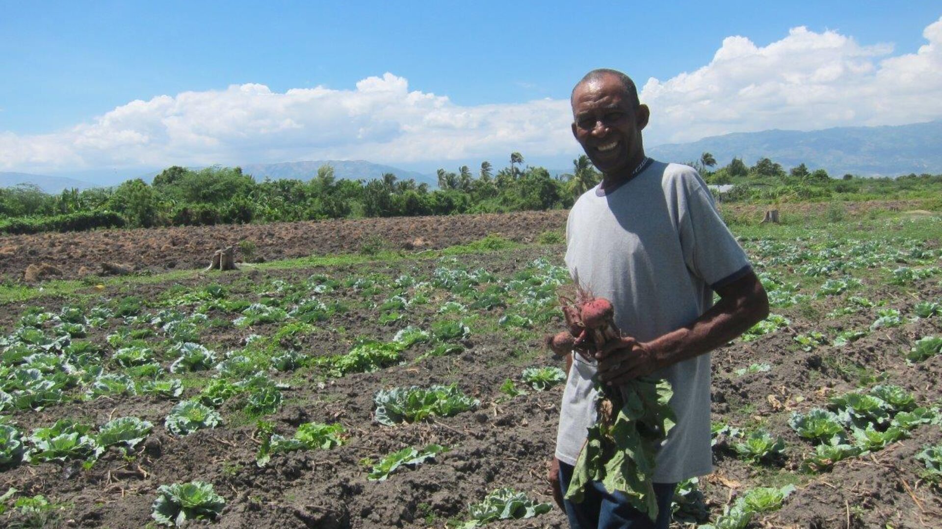 abf_3com-project_007