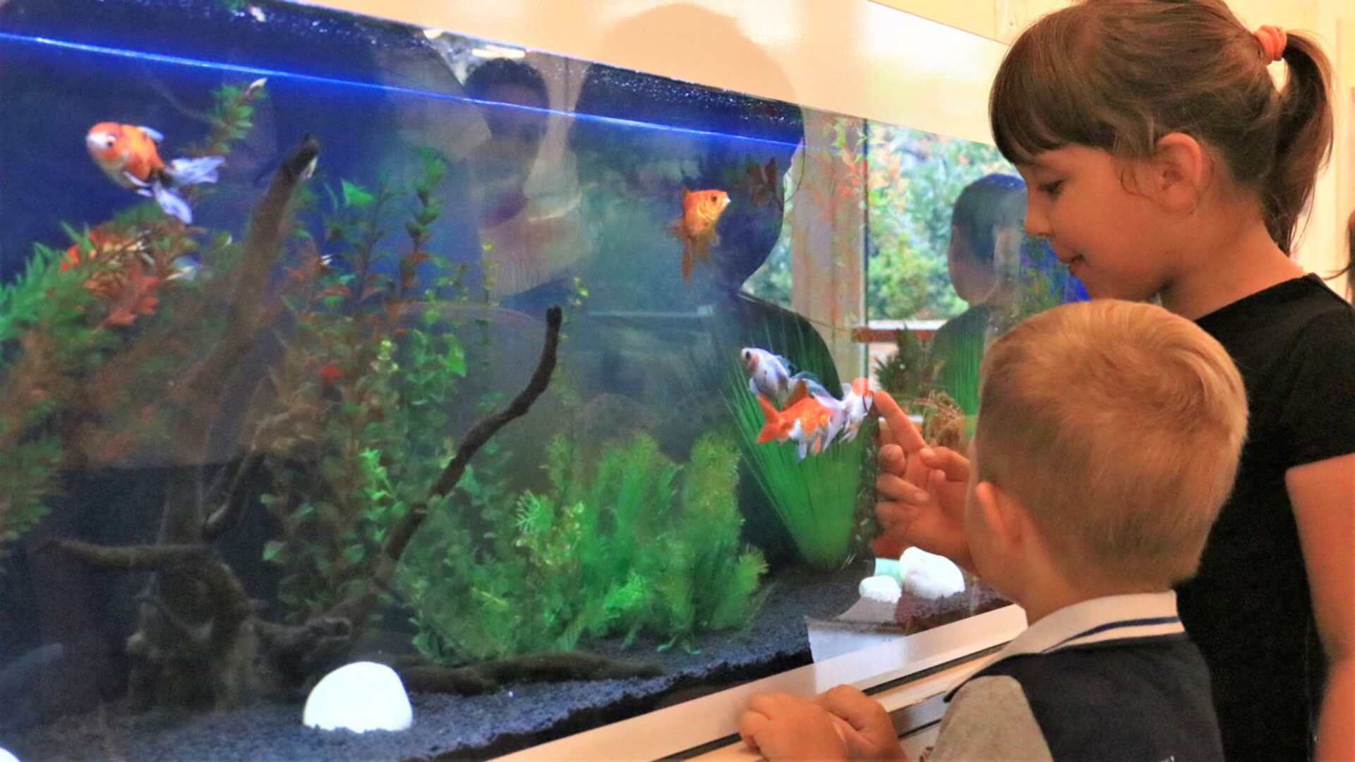 abf_art_music_labs_006